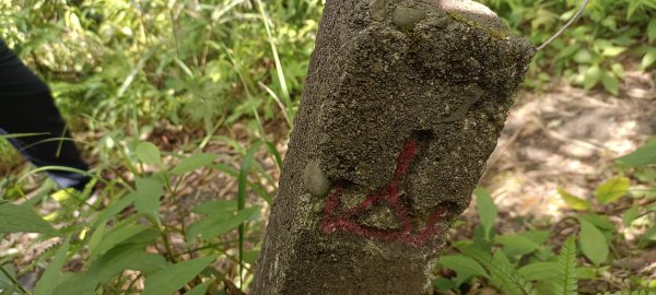 凌空廊道~煤源山來回-2023/06/032171181