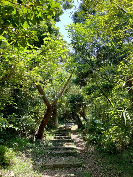 中正山步道-竹子湖來回1361658