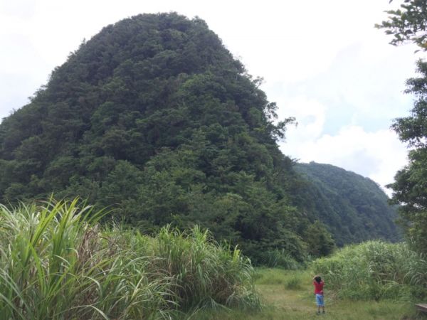 獅仔頭山隘勇線登山步道 小百岳No.20398277