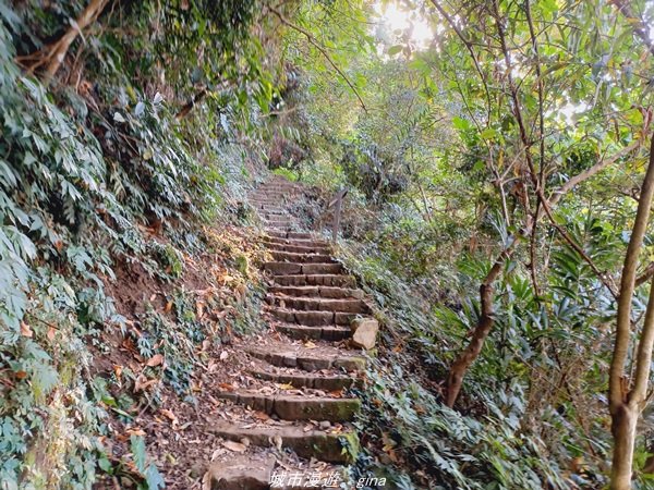 【台南。東山】 適合親子悠遊行。 小百岳集起來。 編號64小百岳-崁頭山步道1558959