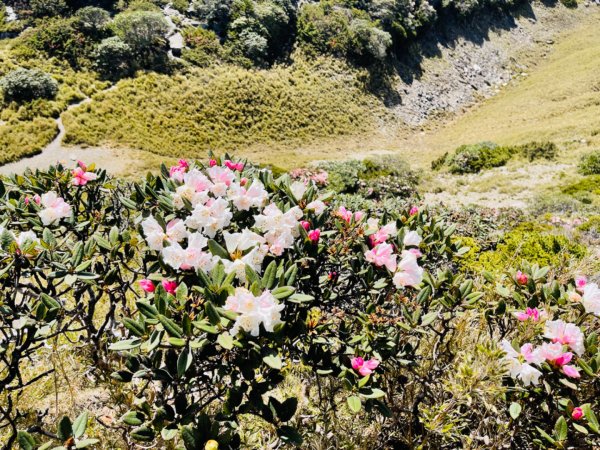 1110422南哈哈山-哈哈山-石門山北峰1684385