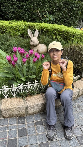 多元化的文山森林公園|天空步道|趣探險之丘|峯花雪月2834957