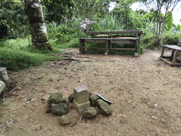 [百山百鳥尋旅-10/15] 2025_0920 溪洲山步道(福山巖登山步道)2893139