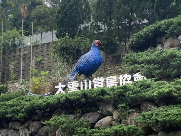 鳶嘴山（台中市和平區）2509654