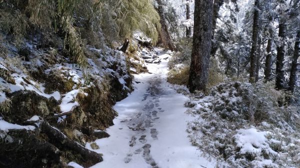 20180309玉山大雪登頂殘念284152