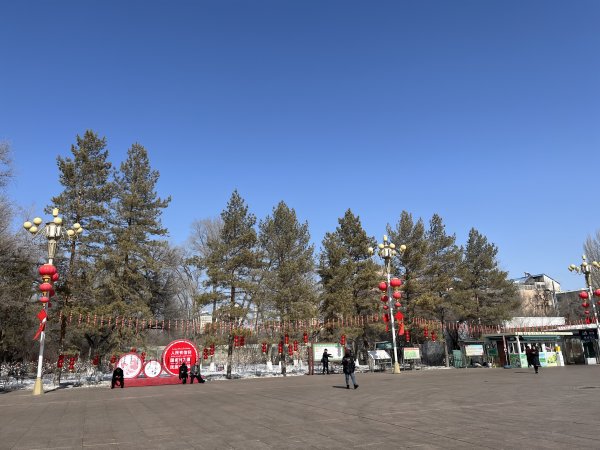 2025_0302 烏魯木齊快閃 - D3b 南公園2728134