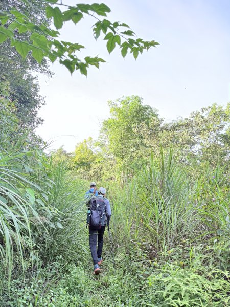 埔里登蜈蚣崙山、板仔寮山 2025.6.182815490