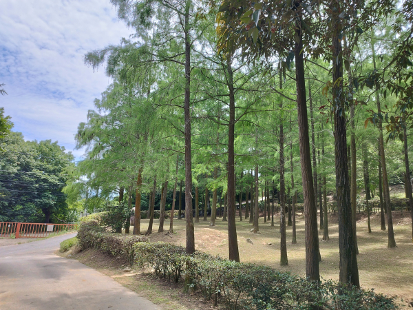 [台中東勢][二]吊神山、罩蘭崎、大樹山、西壁坑(上圓墩)、後壁山、下新、下新北、上校栗埔、校栗埔、上坑、岡頂西、新興、貓仔坑北