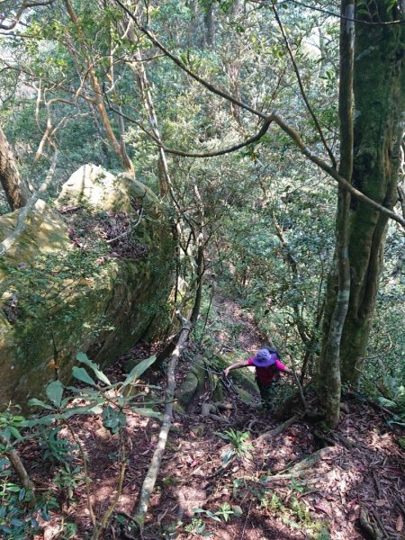 那結山（嘎色鬧部落線）893451