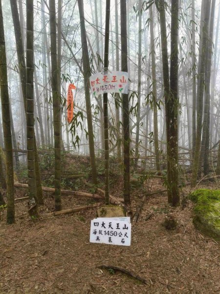 四大天王山縱走獨立山(雙溪路線)2754471