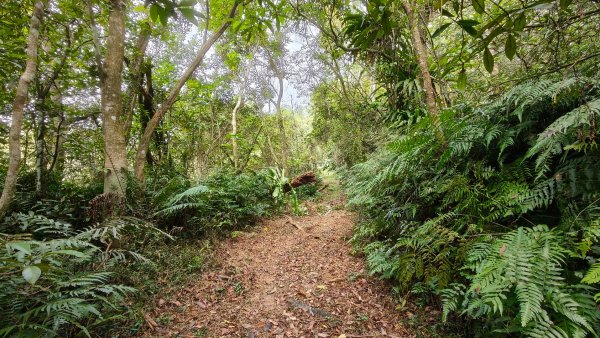新北深坑，新翠谷登山步道3029708