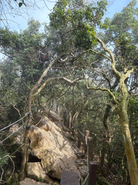 龍麟山步道（王爺崙2703646