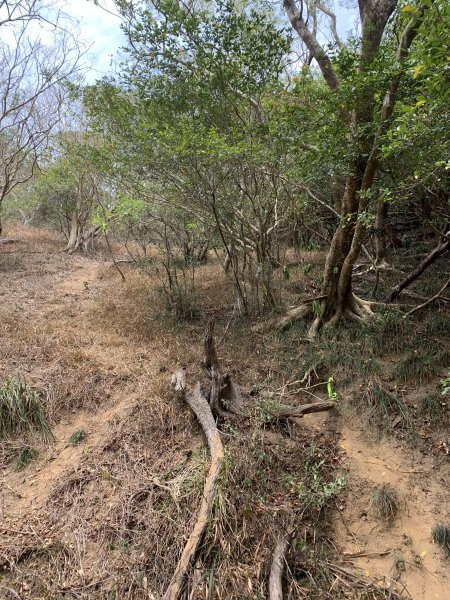 20250404屏東北獅子頭山-霧里乙山2757445