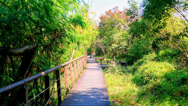 左營半屏山2954311