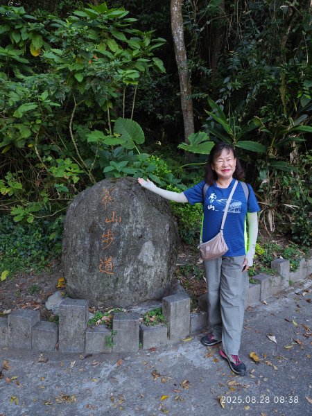 翠山步道、大崙頭尾山親山步道【臺北健走趣】2874308