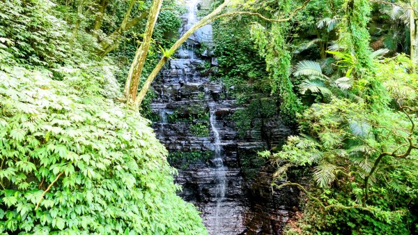 汐止二山三瀑(秀峰瀑布,,茄苳瀑布,大尖山瀑布)2858238