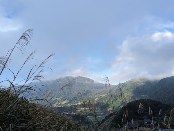 2023-11-19 臺北大縱走第三段2793037