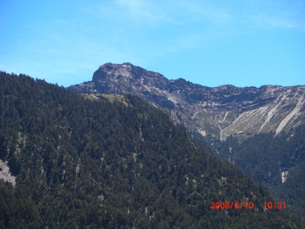 玉山暨阿里山之旅200806091954478