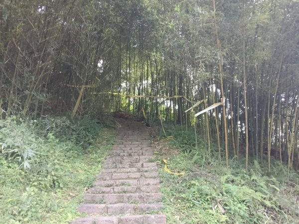 士林區礁坑橋+平溪步道+鵝尾山水田步道+大坪尾山+平菁步道O型2995882