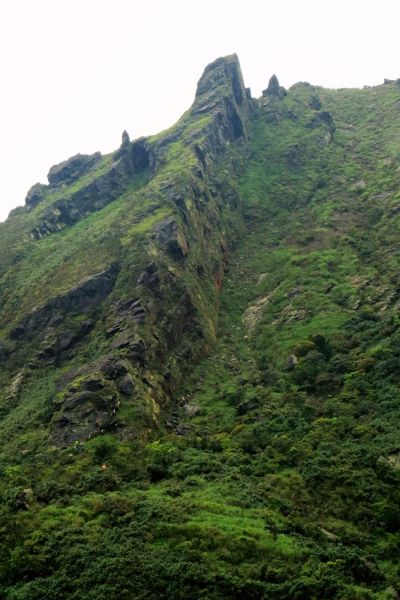 半平山斷崖水管路(瑞芳小錐麓)114854