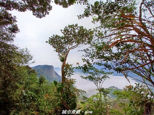 【苗栗。大湖】喜見雲海。 小百岳集起來。 編號37小百岳馬那邦山1509668