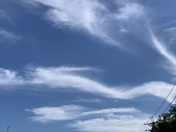 20240608高雄北旗尾南山-北旗尾山-旗尾山2523609