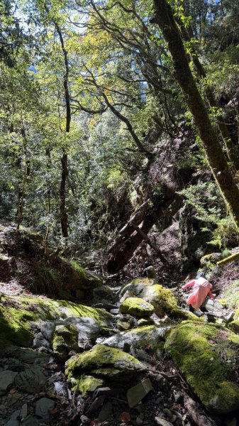 中央尖山 2025 11/7 三天兩夜2935763