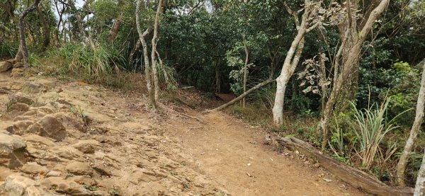 阿哲/小黑3031500