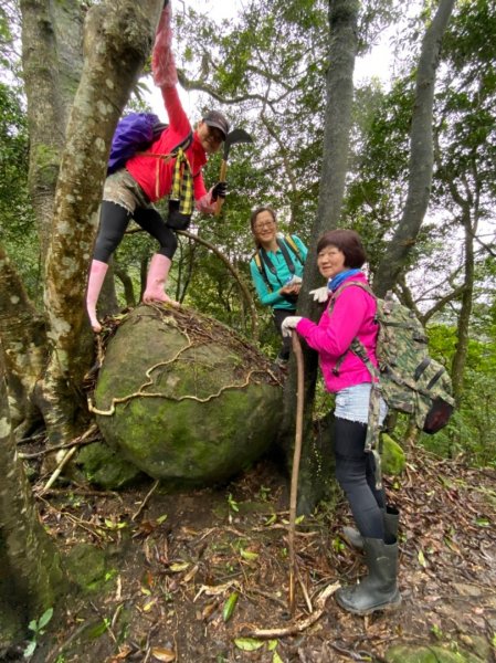 整理往平溪峰頭尖的山路2834678