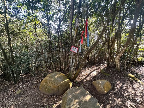 苗栗三義-三員縱走2616419