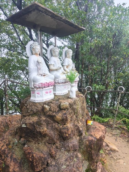 微笑山線：【五分山系】平溪小黃山段2955016