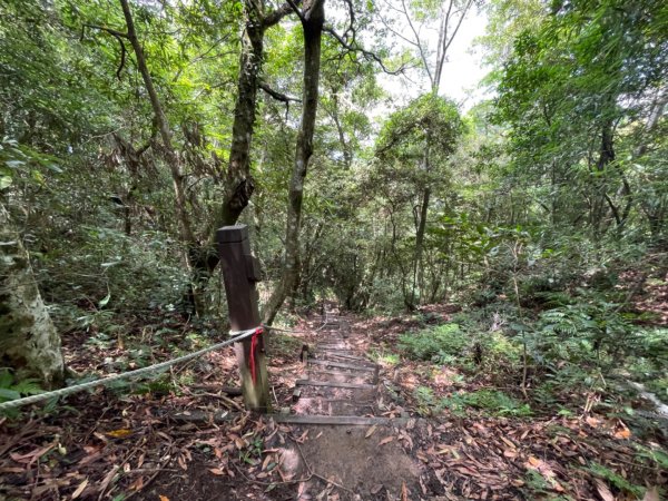 五指山登山步道2226347