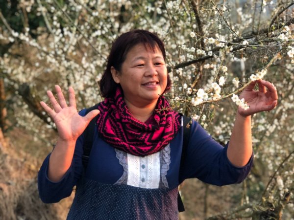 竹子尖山到獵鷹山473249