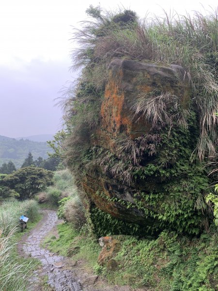 七星山主峰914500