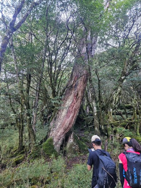 20241006給里洛山-加太縱走2616182