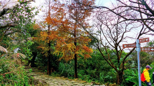 你若來汐止2961412