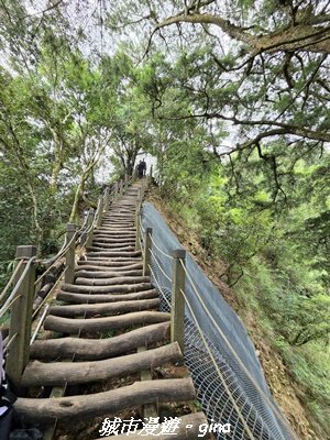【台中北屯】大坑四號步道x頭嵙山3090949