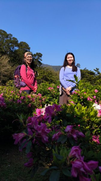 陽明山國家公園202503232743288