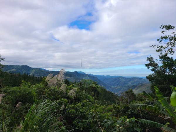 北得拉曼+內鳥嘴山賞山毛櫸1898389