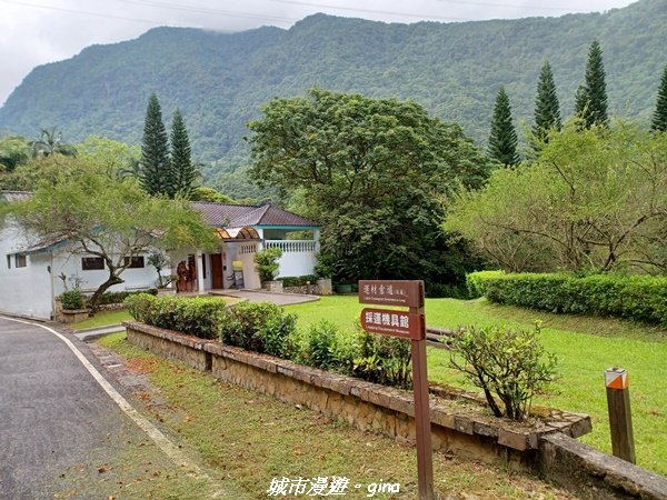 【花蓮壽豐】秀麗山景。 池南國家森林遊樂區森林浴步道2266007