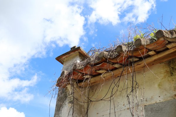 HK - 牛屎湖1046154