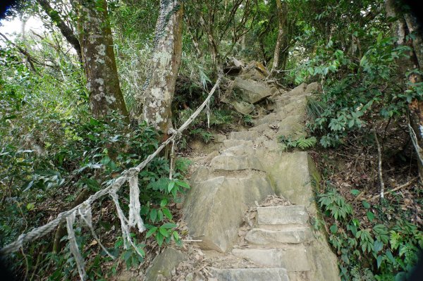 苗栗 獅潭 仙山、大窩山2984274