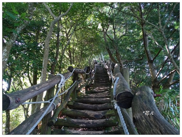 台中/大坑4號步道634923