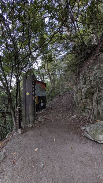 【中級山】五星級步道，谷關七雄馬崙山3021971