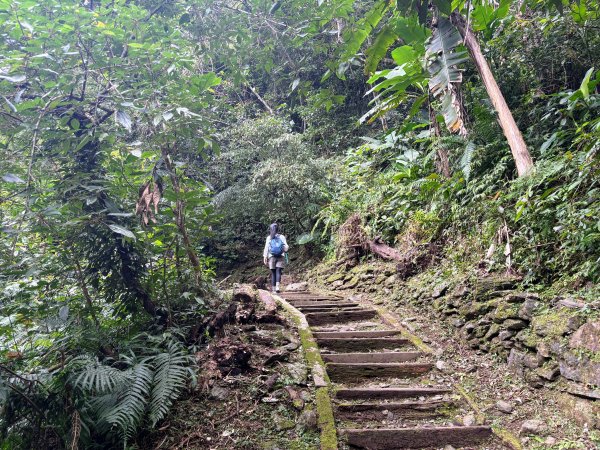 鯉魚山步道群2728328