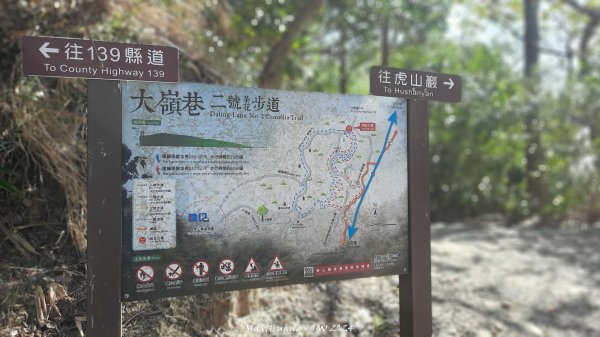 《彰化》富士櫻花｜花壇大嶺巷步道群及西來園（銀行山）登山步道202402132424689