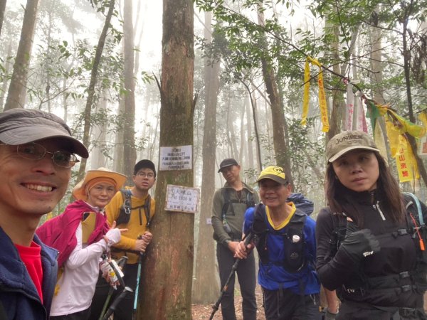 20250209橫沙笛鳶嘴醜肥大西稜O型2709384