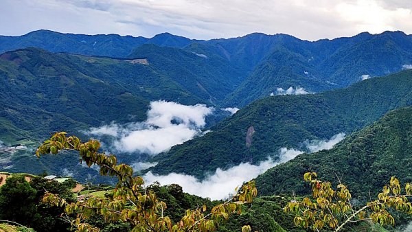 【中級山】雲海的故鄉，觀霧榛山步道，榛山，榛山北峰封面