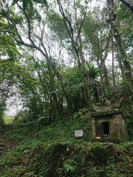 璀璨百年淡蘭古道～崩山坑古道、溪尾寮山、保城坑古道、虎豹潭步道O走1313475
