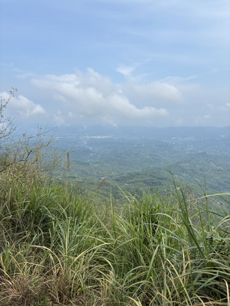 20260802梅嶺;獵鷹尖+梅峰3094696
